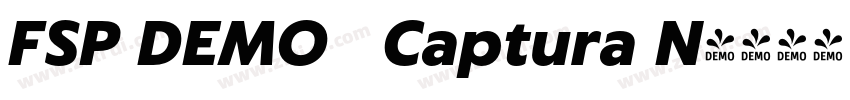 FSP DEMO   Captura N字体转换
